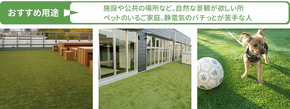 人工芝 ナチュラルタイプの使用例