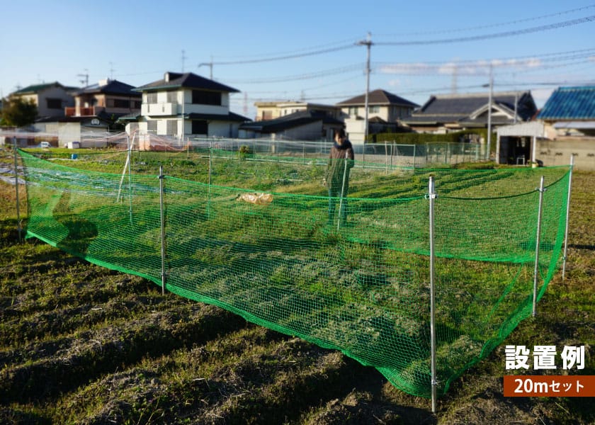 くい丸 ネット 網 セット 業務用激安通販 スタイルダートプロ