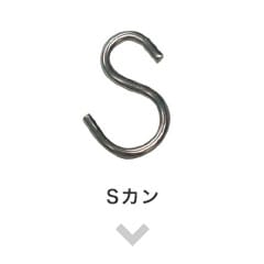 Sカン