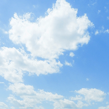 防風・防壁・防雹・防雪ネット