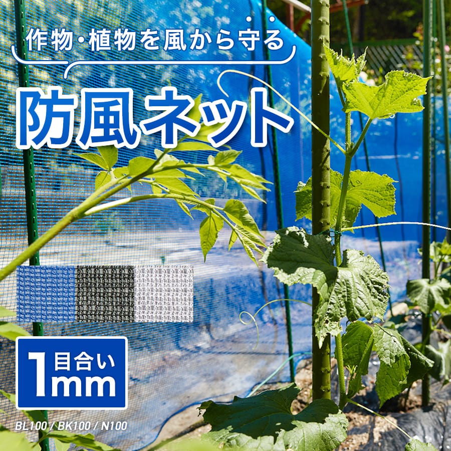 64％以上節約 TRUSCO トラスコ 安全ネット白1.8Φ 幅5m×5m 目合15 菱目ラッセル 仮認 TSN-5050-W 