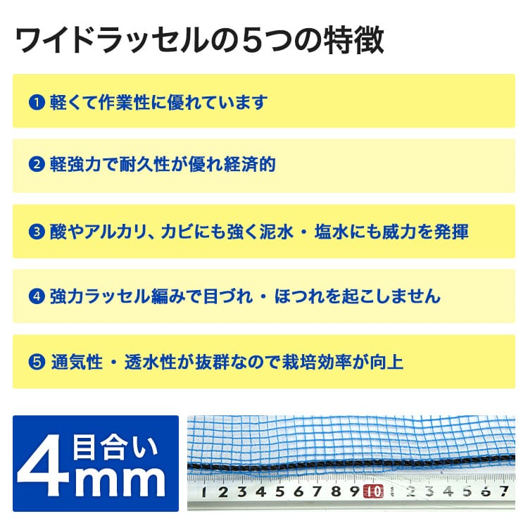 防風ネット（青色） 網目2mm 1.0m×50m×2本 防塵 防砂 風対策 強風対策 園芸 家庭菜園 農業 ガーデニング 野菜作物 - 1