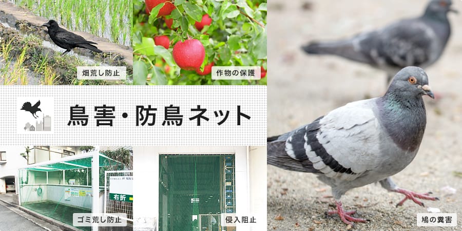 鳥害・防鳥ネット